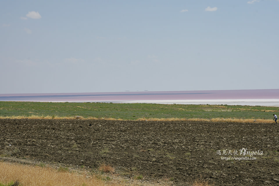 土耳其粉紅湖