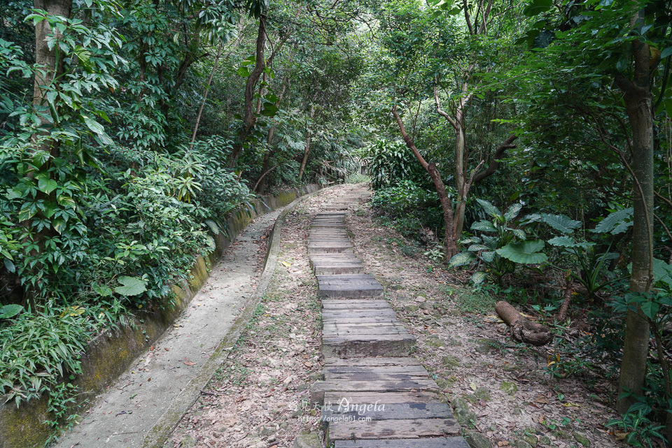 內湖金面山步道