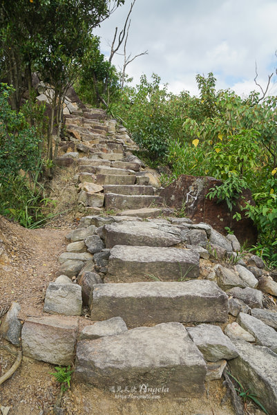 金面山步道