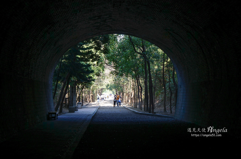 崎頂子母隧道時光隧道