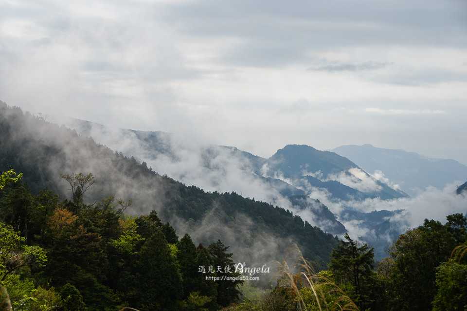 太平山森林遊樂區雲海美景