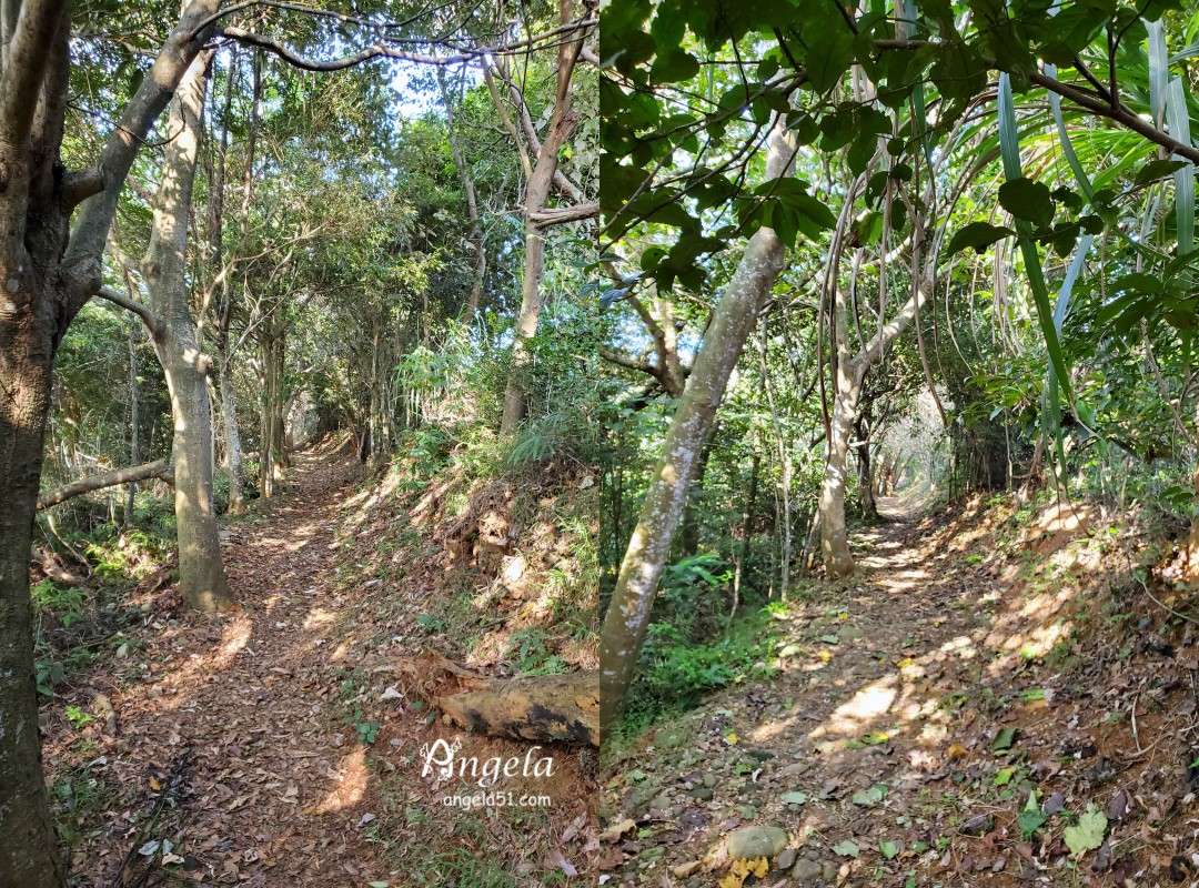 龍潭石綺步道