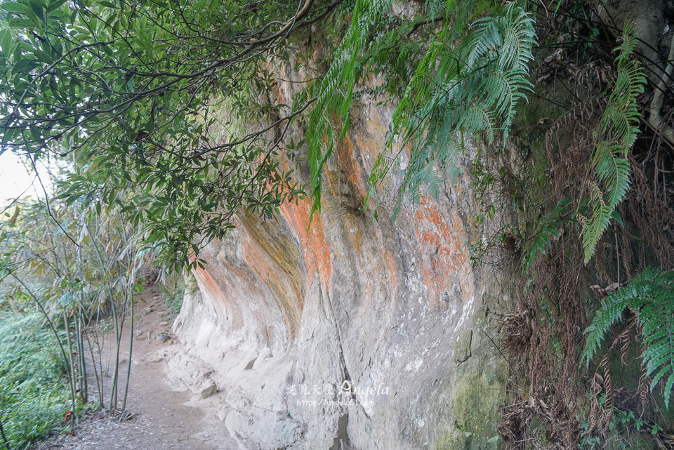 三峽秘境鳶山彩色岩壁