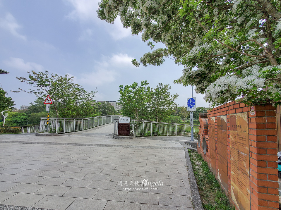 老街溪河川教育中心 中壢免費散步景點