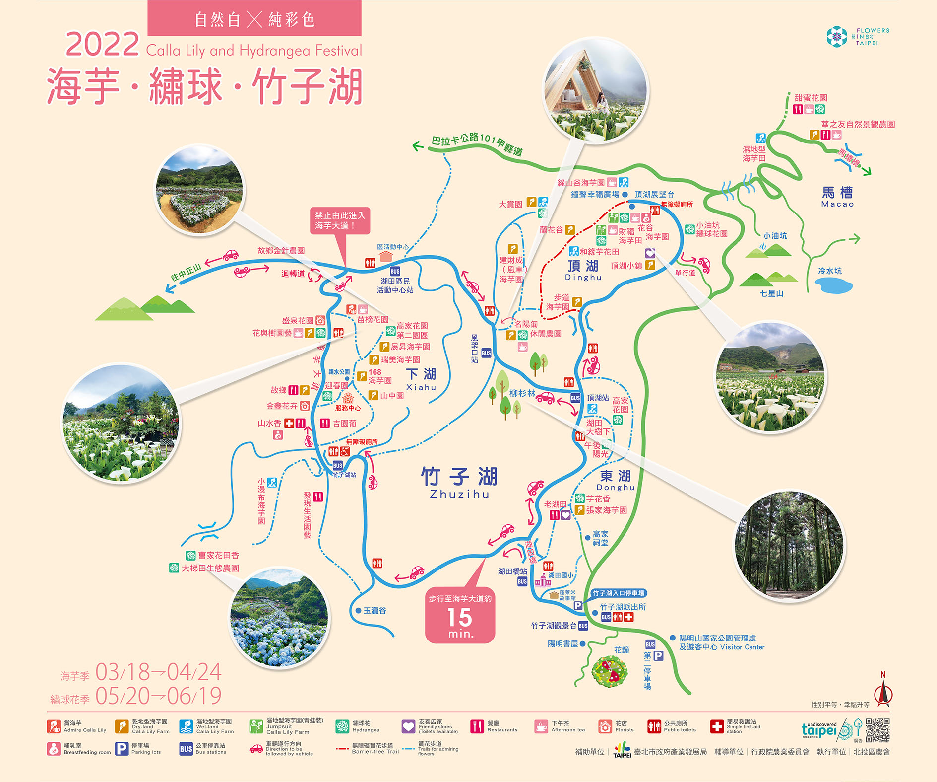 陽明山竹子湖繡球花地圖