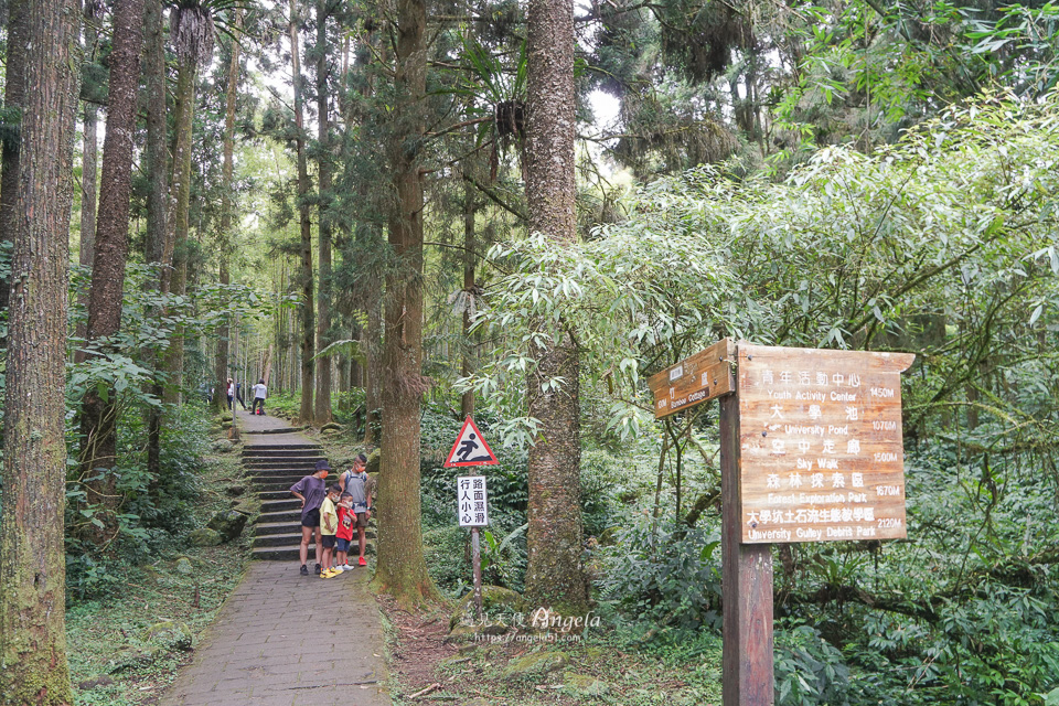 溪頭自然教育園區 森林遊樂區