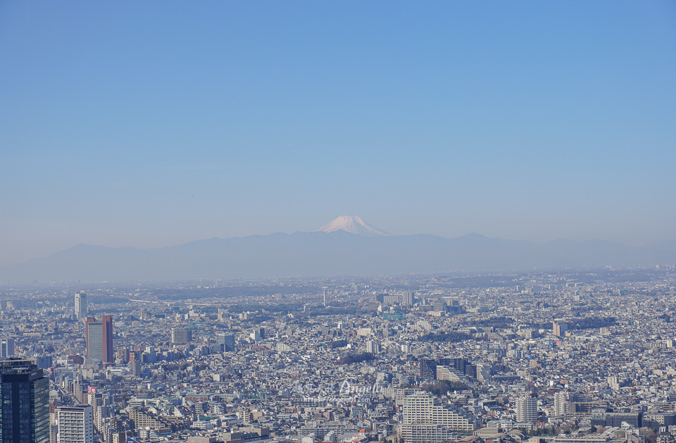 東京新景點渋谷 Shibuya sky 展望台 富士山