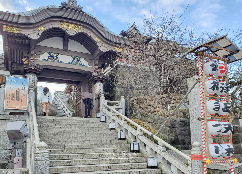 東京賞梅花 湯島天滿宮