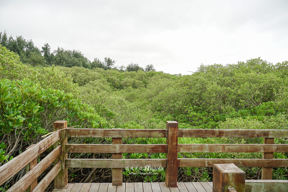 新竹景點 新豐紅樹林生態保護區