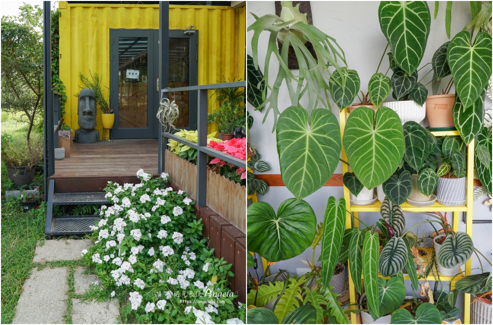 新埔庭園景觀植物系咖啡廳-點咖啡 寵物友善