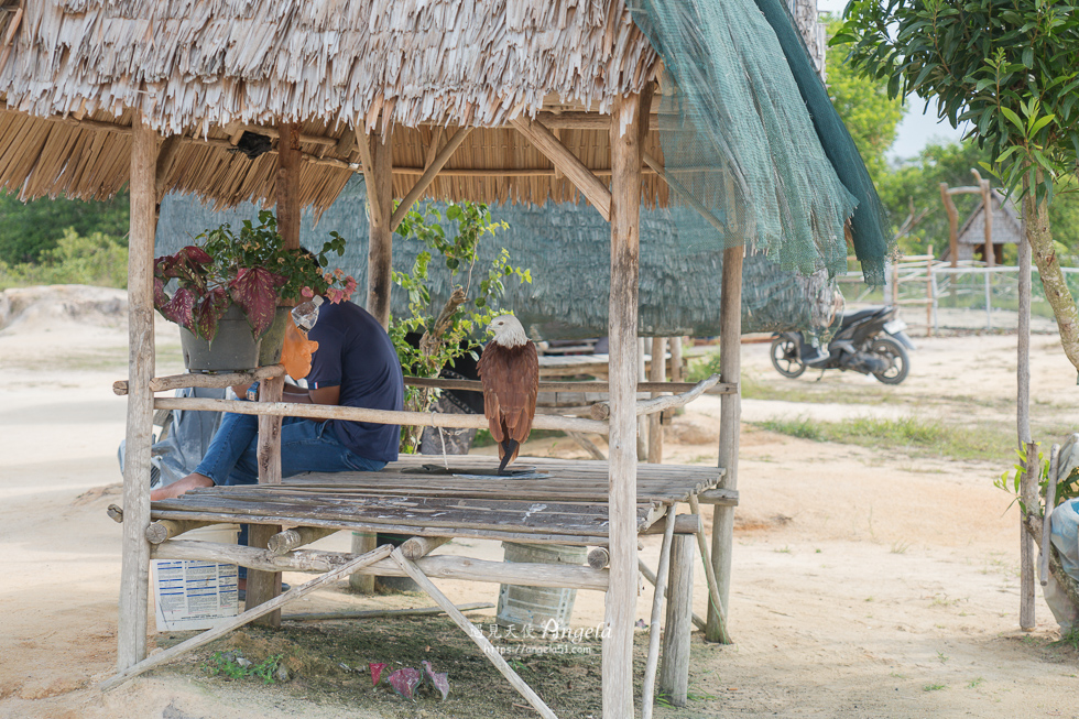 bintan 民丹島景點推薦藍湖沙丘