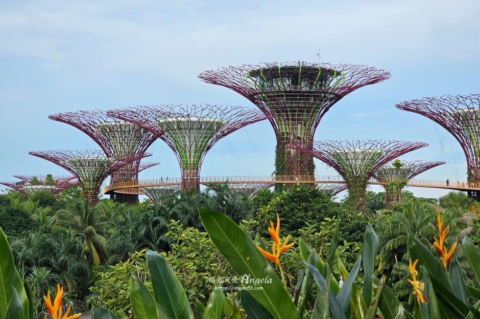 新加坡濱海灣花園