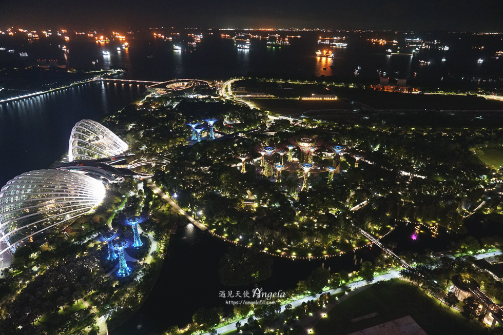 新加坡濱海灣花園夜景