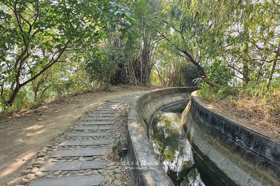 知高圳步道路況