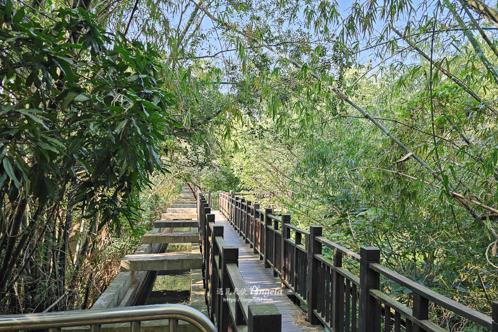 知高圳步道空中廊道