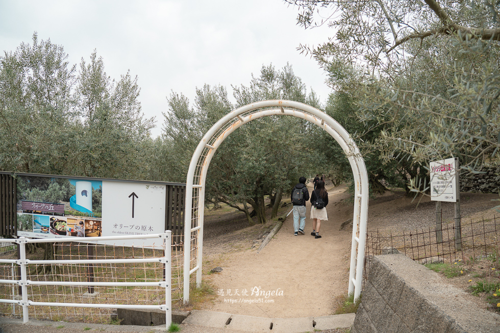 小豆島橄欖公園必遊