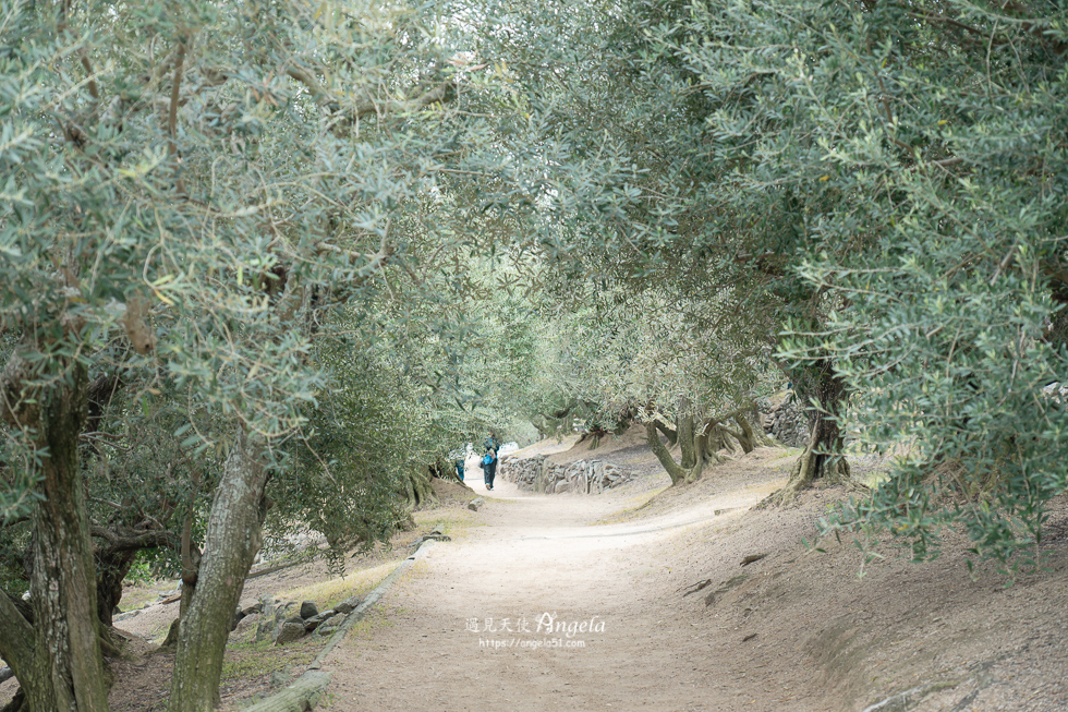 小豆島橄欖公園必遊