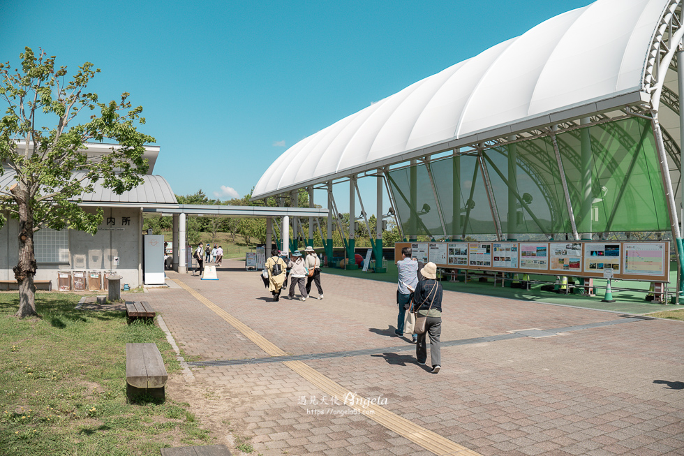 香川粉蝶花海滿濃公園