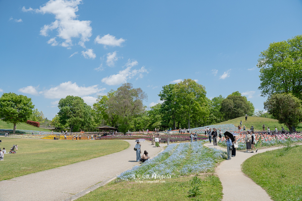 香川滿濃公園花季