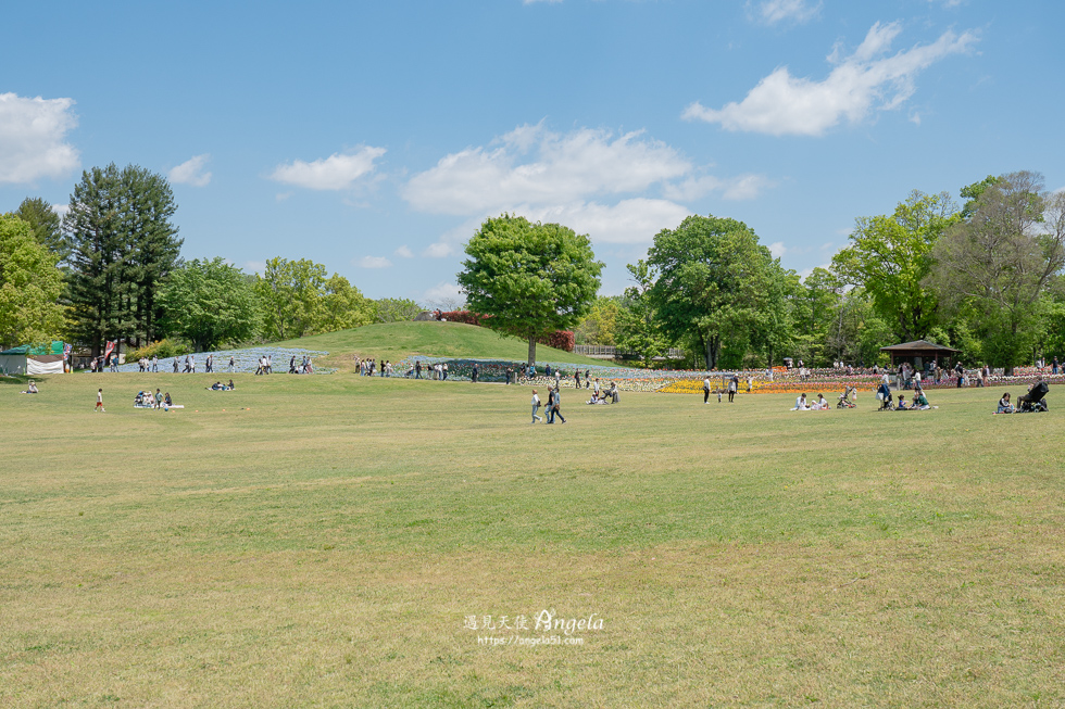 香川滿濃公園花季