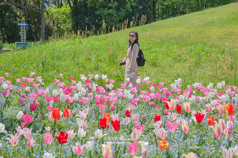 香川滿濃公園花季