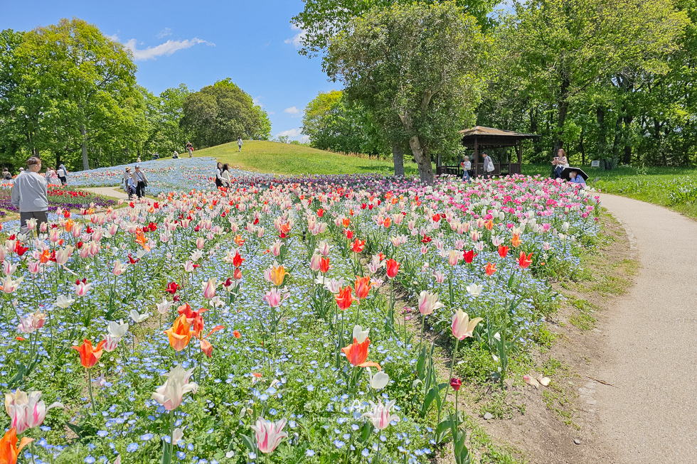 香川滿濃公園花季