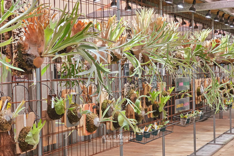 新竹芎林風之所-欣悅甜法式點心Tres Joyeux