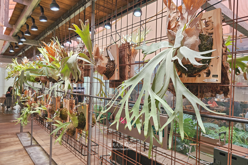 新竹芎林風之所-欣悅甜法式點心Tres Joyeux