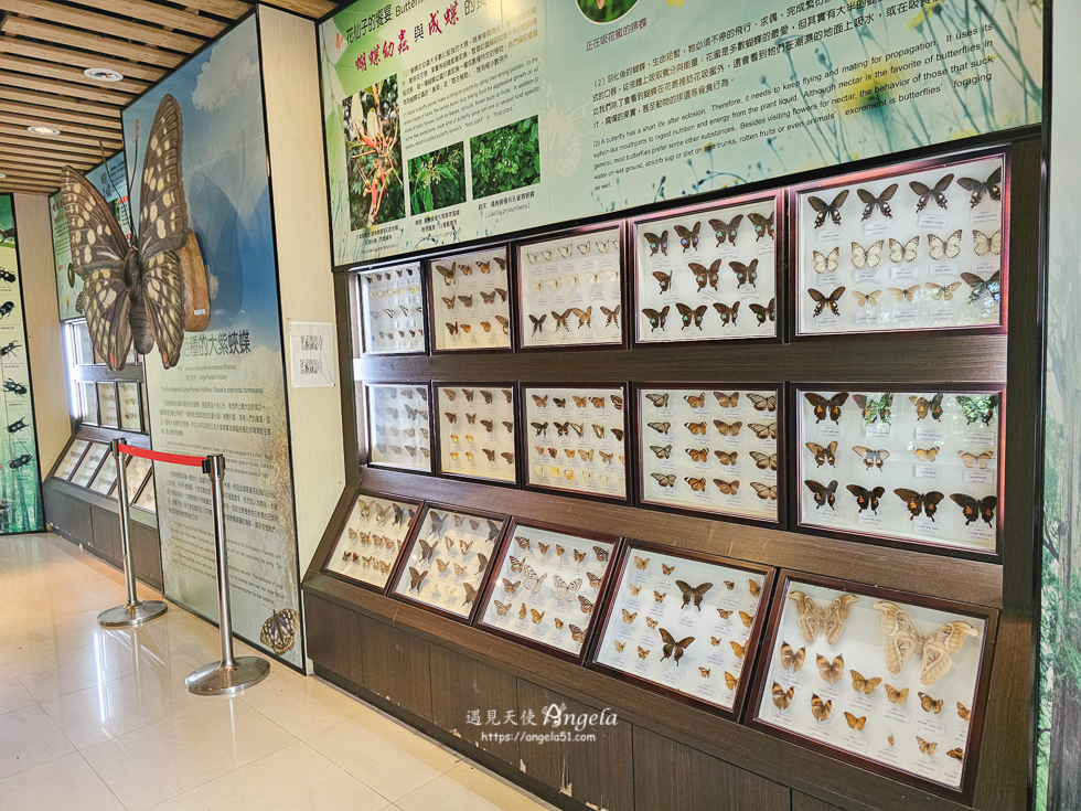 巴陵古道生態園區