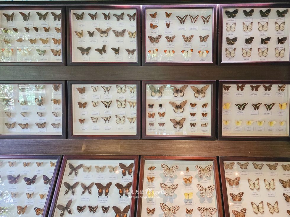 巴陵古道生態園區