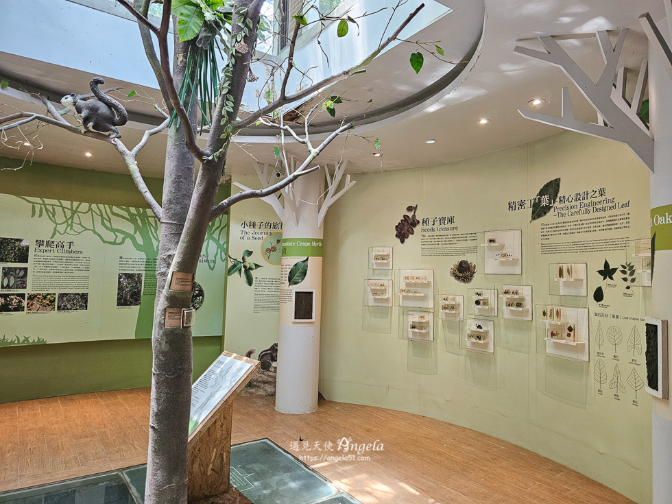 巴陵古道生態園區