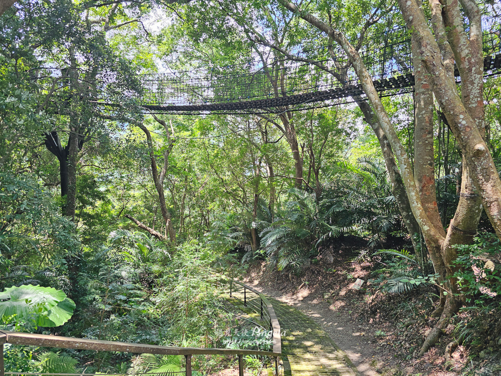 巴陵古道生態園區