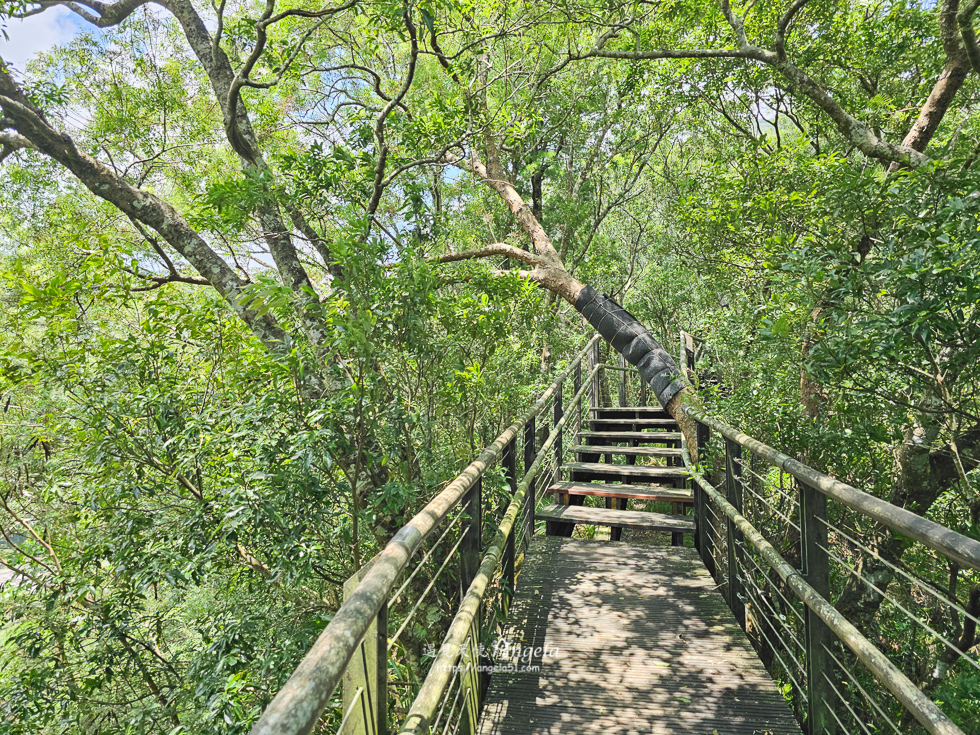 巴陵古道生態園區