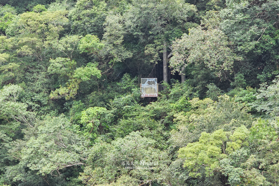 巴陵古道生態園區