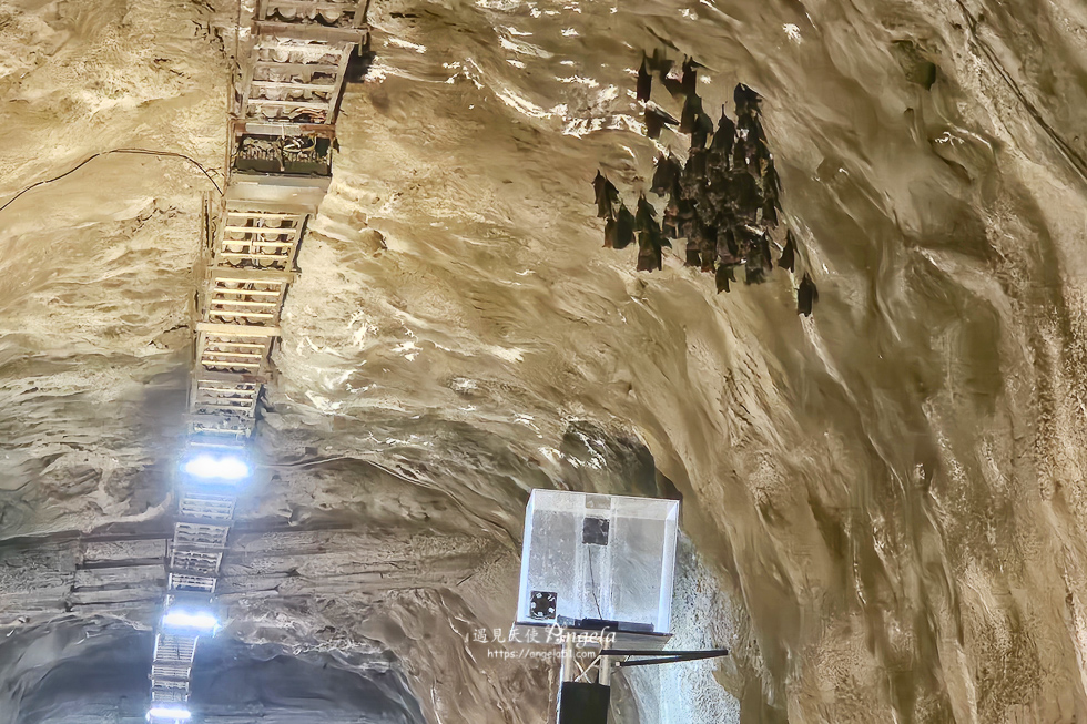 巴陵古道生態園區