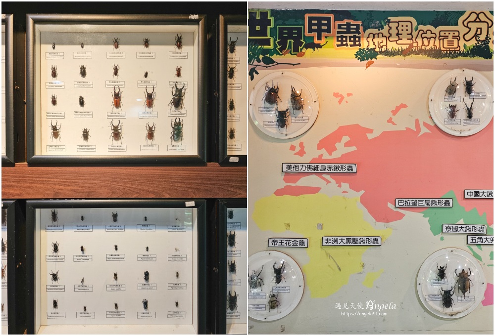 巴陵古道生態園區