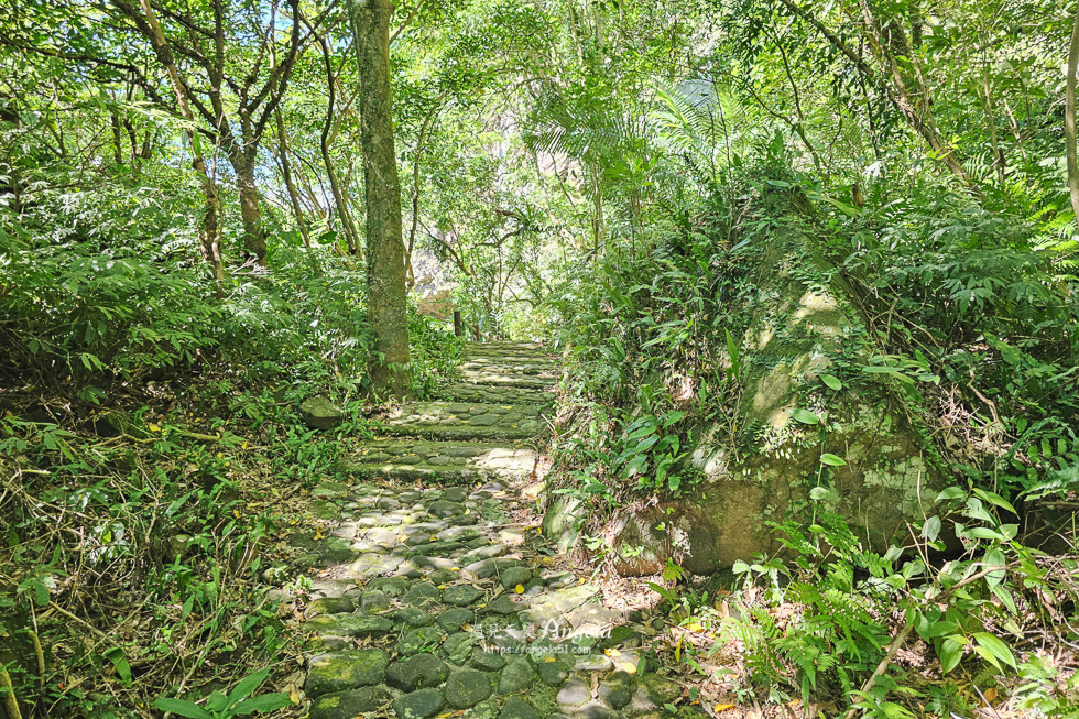 基隆暖東峽谷步道路況