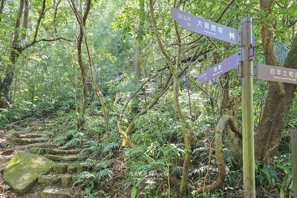 基隆暖東峽谷步道難度路況