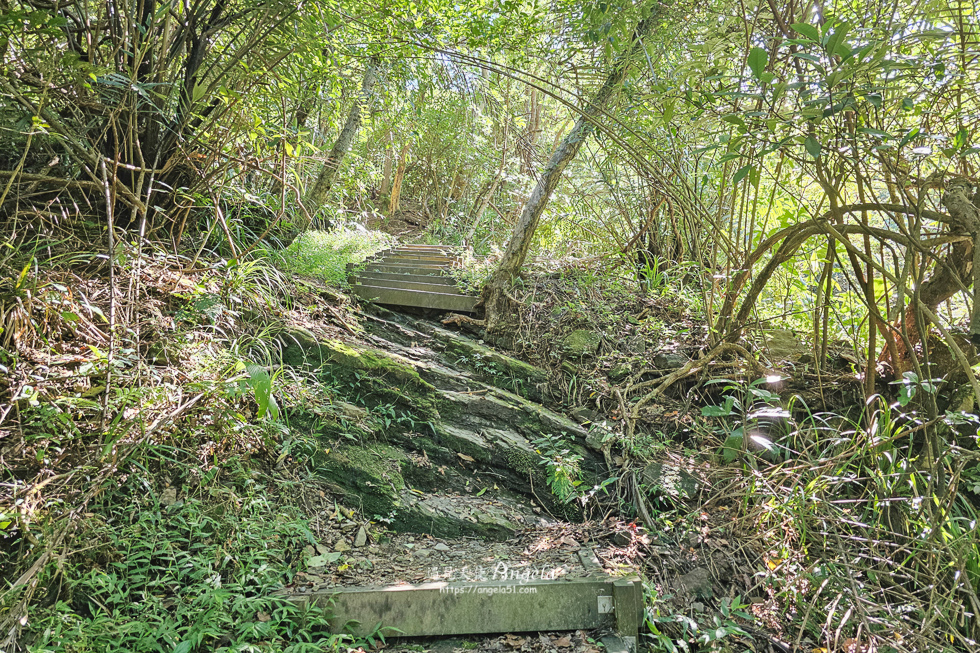 基隆暖東峽谷步道路況