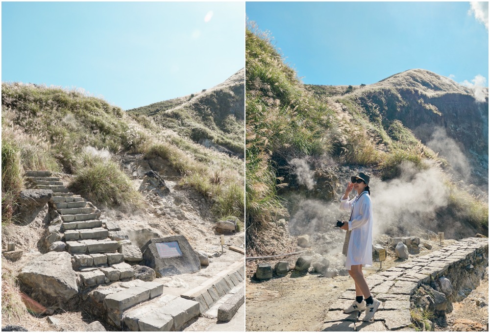 陽明山芒草景點