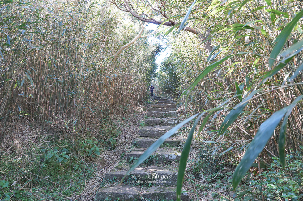 大屯山連峰步道
