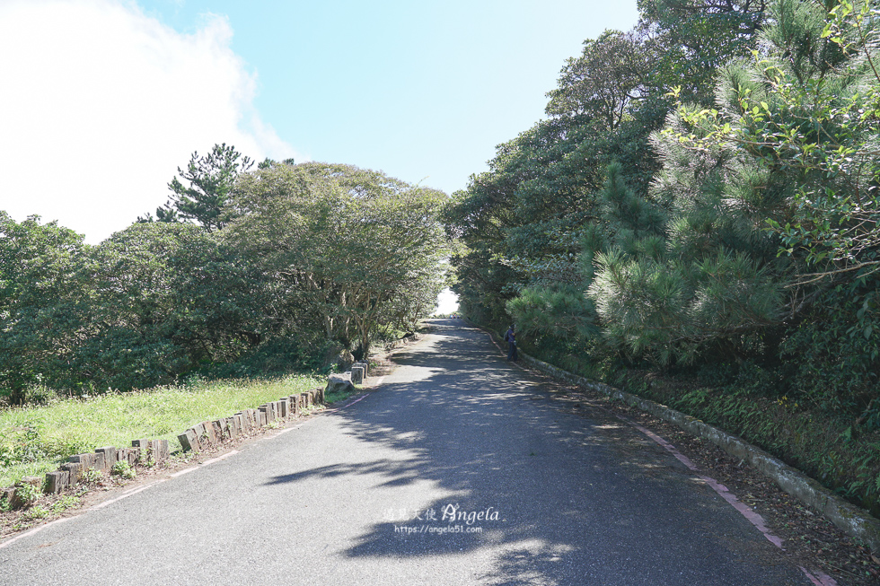 大屯山車道步道