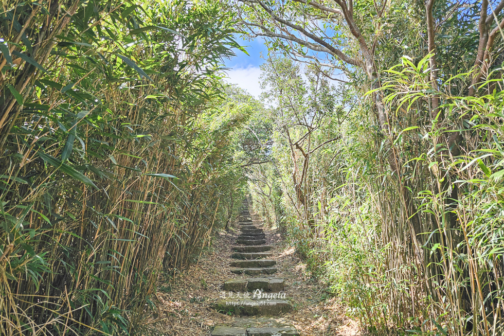 大屯山連峰步道