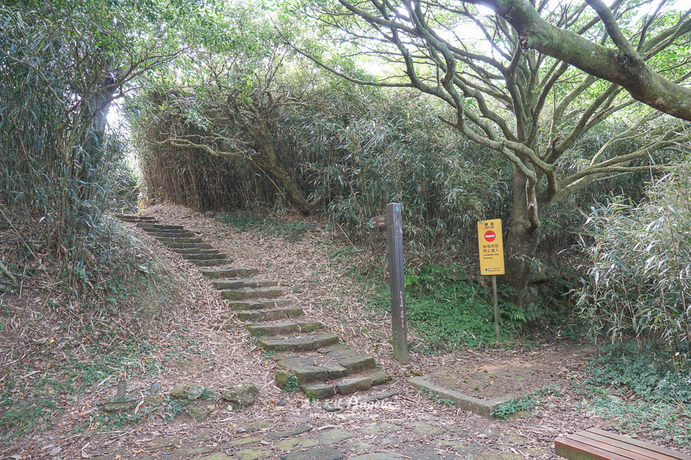 大屯山連峰步道登山口