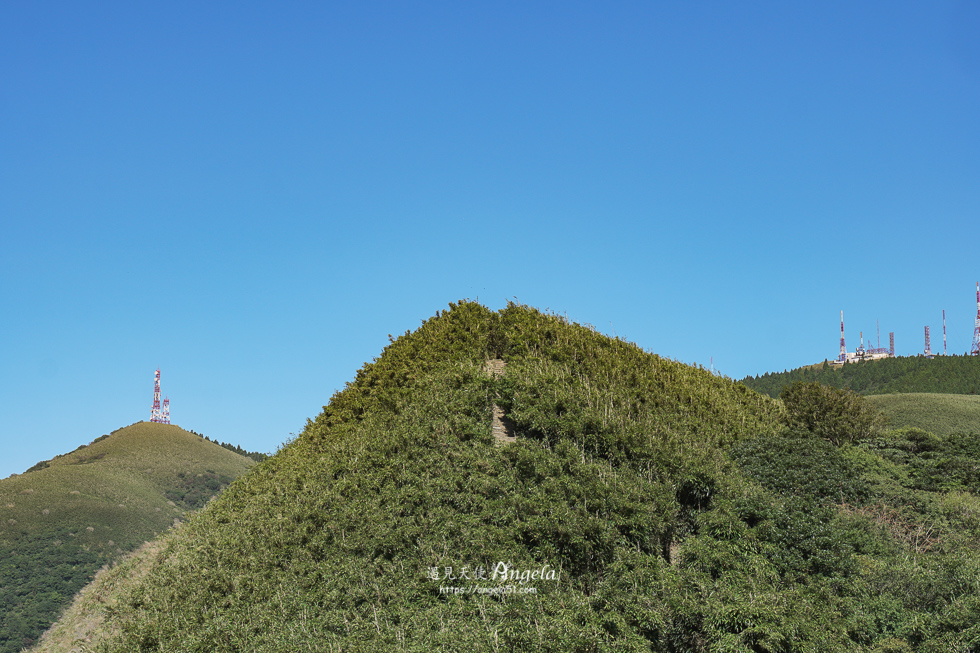小油坑遊憩區箭竹林步道