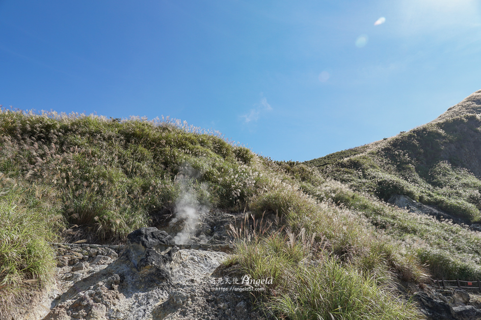 小油坑遊憩區芒草