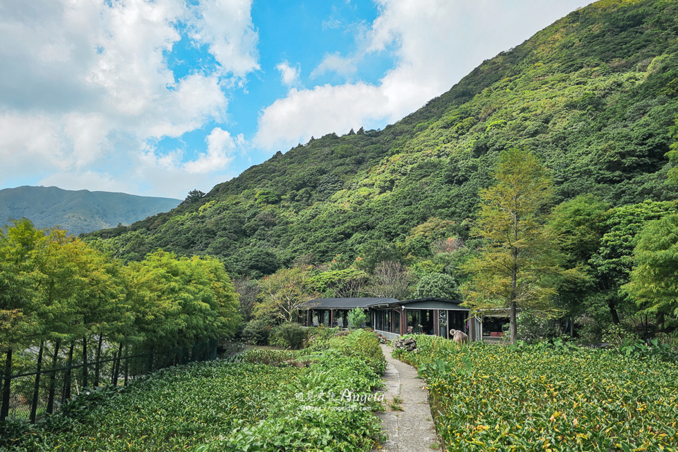 陽明山竹子湖景觀咖啡-綠山谷