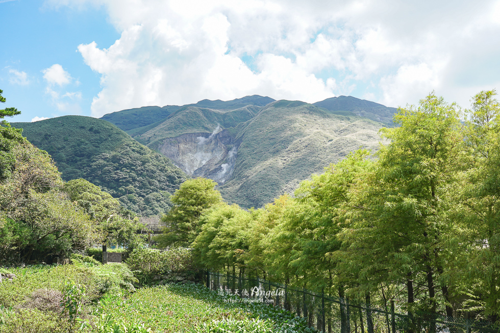 陽明山竹子湖景觀咖啡-綠山谷