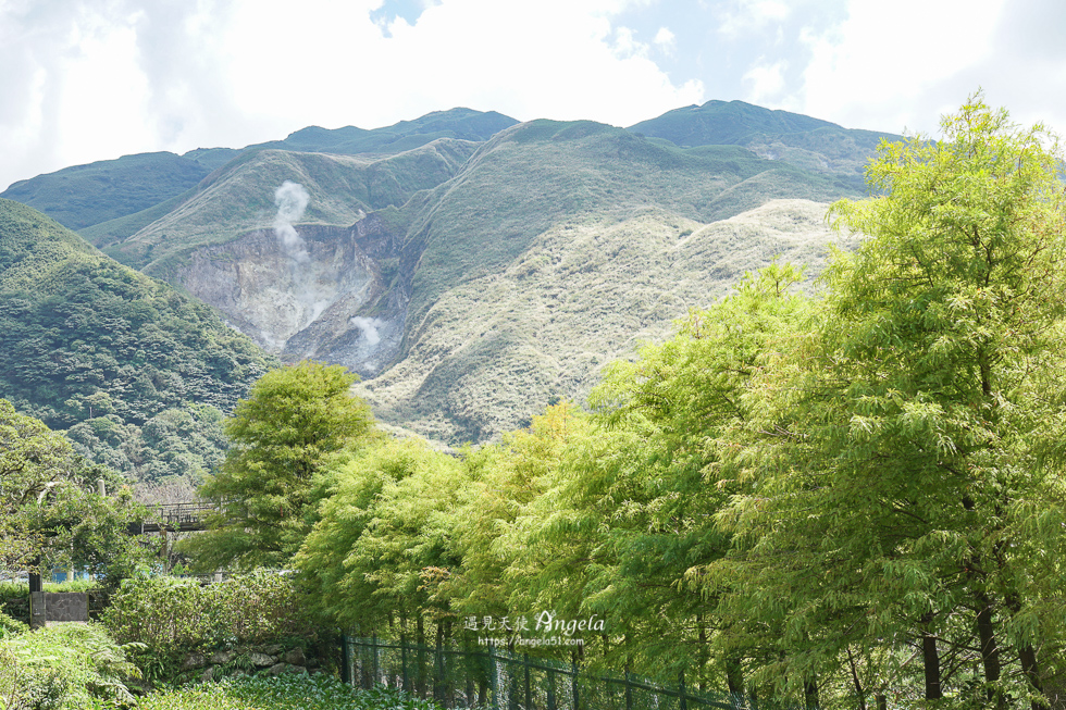 陽明山竹子湖景觀咖啡-綠山谷