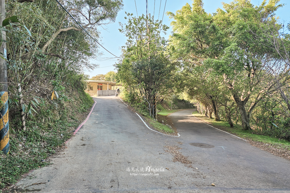 樹林芒花景點三角埔山頂